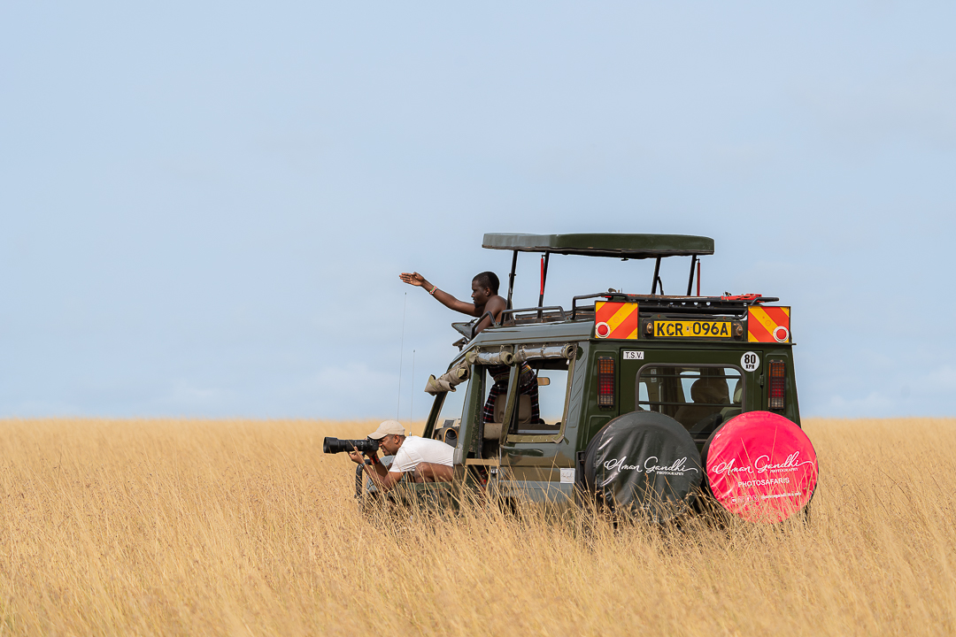 Safari photography in the African wilderness